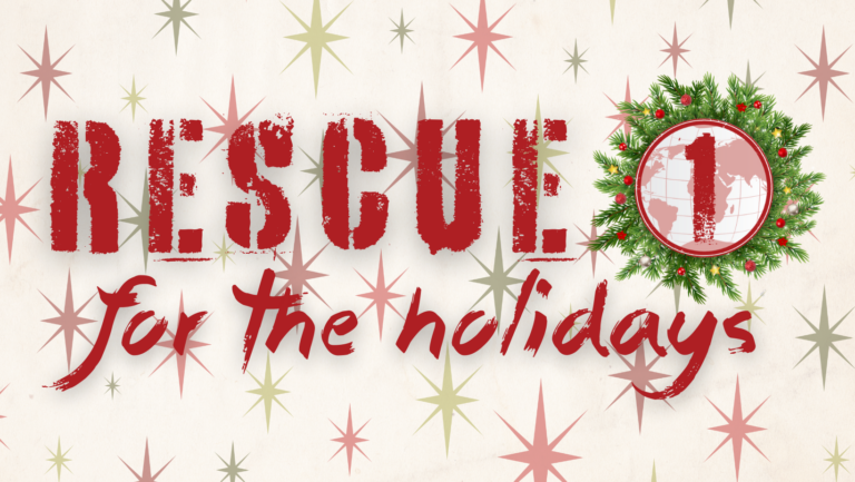 Rescue 1 for the Holidays